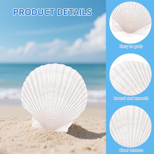30PCS Large Natural Scallop Shells for Crafts, 4-5 in White Sea Shells, DIY | Smooth, cleaned surfaces suit painting, resin art, candle making, baking displays, weddings, classrooms and ocean parties. - size: 30PCS (4-5in)