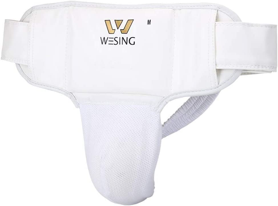 Wesing Karate Protective Gears Set with Chest Guard Gloves Groin Protection and Shin Instep Guard for Men - color: Blue, size: Small