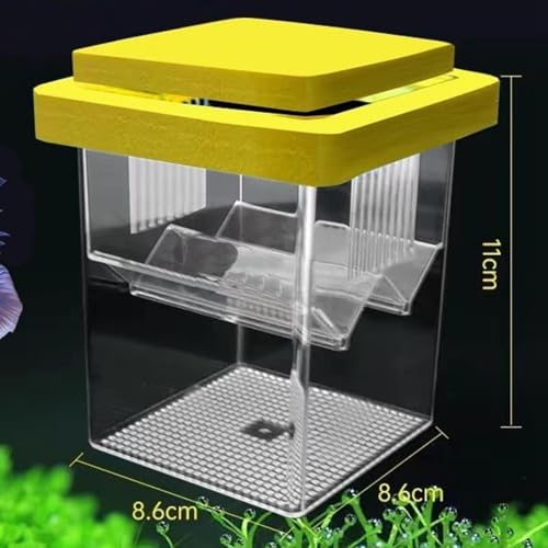 Breeder Box Aquarium Box Fish Egg Square Design PP Material Suitable for Betta Clownfish, Yellow