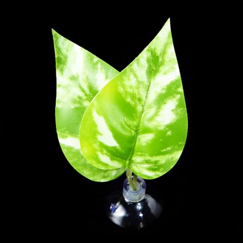 Suction Cup Pad Resting Bed for Bettas Fish Hammock Fishtanks Spawning Ground Aquariums Breeding Supply Fishtanks Ornament - color: Y11 model