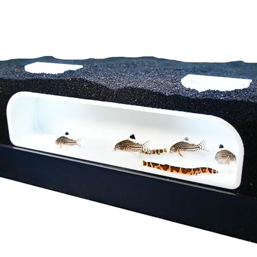Aquarium Underground Tunnel Cave | Viewing Fish & Shrimp Under Gravel Tunnel | Fish Tank Decor Decoration Hideout Perfect for Corydora Catfish, Kuhli Loach, Clown Loach, Pleco (White) - color: White
