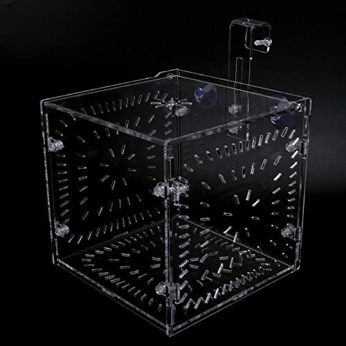 Fish Tank Breeding Box Aquarium Isolation Box High Transparency Adjustable Height Sturdy Acrylic Material for Fish Shrimp Isolation Transparent 15x15x15cm 30x15x15cm 20x20 (15CM*15CM*15CM)