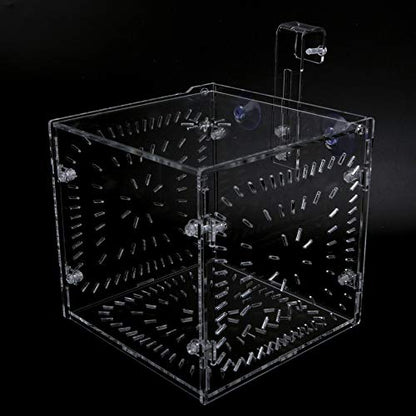 Acrylic Fish Breeding Box 20x20x20cm Mesh Rearing Trap for Baby Shrimp Clownfish Guppy, Isolation Board Prevents Adult Attack, Adjustable Suction Cup Fixation for Aquarium Hatchery - size: 15CM*15CM*15CM