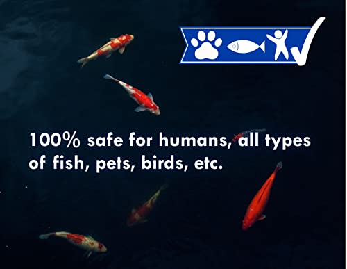 KoiWorx Blue Dye - Ornamental and Decorative Pond Dye, Water Features and Fountains, Safe for Koi - 16oz