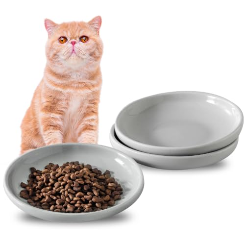 3 PCS Ceramic Cat Bowls, 5.5 in Pet Food Bowl Cat Dishes for Food and Water, Small Dog Dish(Grey) - color: Grey