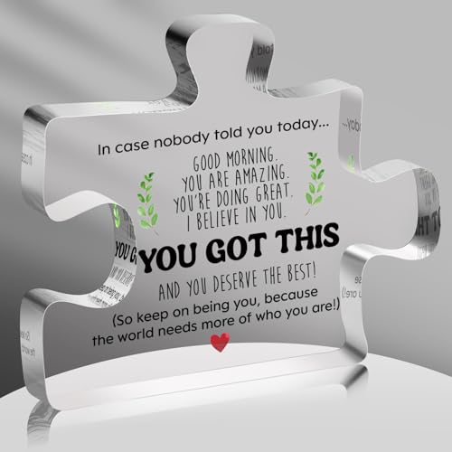 You Got This Inspirational Motivational Gifts for Women Men, Best Friend Thank You Encouragement Cheer Up Birthday Graduation Gifts for Women Friends, Clear Acrylic Puzzle Plaque - color: Blue15