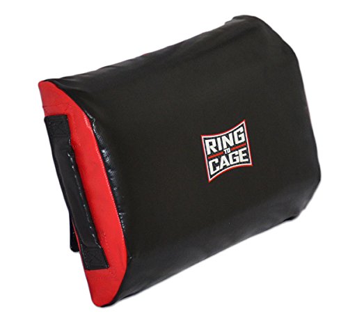 Ring to Cage 2 Sizes - Krav MAGA Tombstone/Multi Angled Striking Shield, Womens self Defense - size: Mini/Junior Travel Size