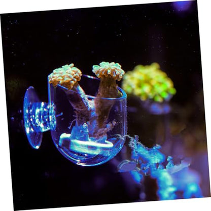 2pcs Aquarium Fish Feeding Cups with Suction Cups, Acrylic Blood Worm Food Holders for Fish Tank Feeding, Aquarium Feeder Tool Suitable for Freshwater and Saltwater Tanks