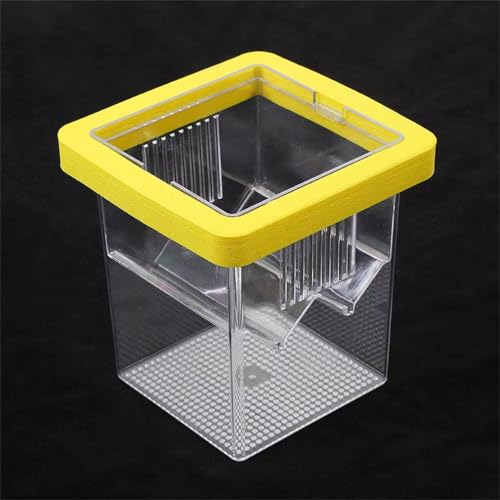 Baby Fish Breeding Box Clear Isolation Aquarium Hatchery Incubator with Suction Cups for Newborns Shrimp Fish Hatchery - color: Blue