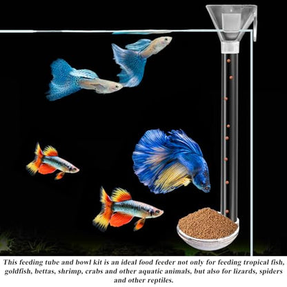 Aquarium Fish Shrimp Feeding Dish Set, Shrimp Feeding Dish Set, Transparent Shrimp Feeding Adjustable Tube with Feeding Ring, Cleaning Brush for Fish Tank and Preventing Food Scattering (Large) - size: Large