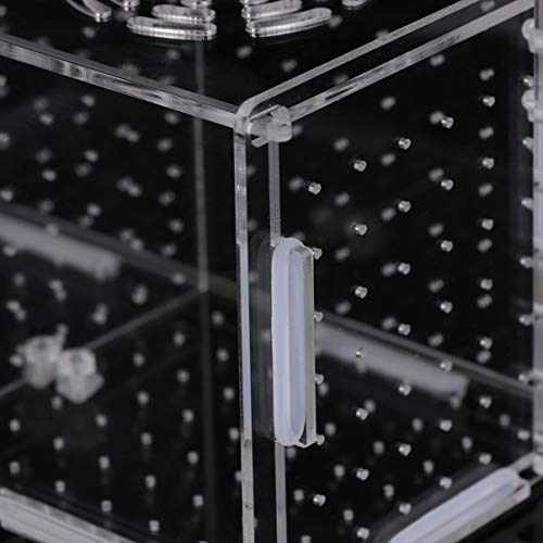 Aquarium Fish Breeding Box - Transparent Acrylic Fish Tank Hatchery Hanging Incubator for Shrimp Clownfish (Hook 201011cm)