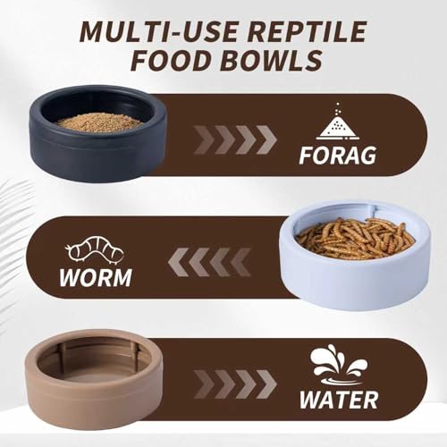 3 Pack Anti-Escape Reptile Food Dish Bowls, Plastic Worm Water Dish | Mealworm Feeder Cups for Small Gecko, Lizards, Bearded Dragon, Chameleon 2.83" W x 2.83" D x 0.98" H, 3 Colors