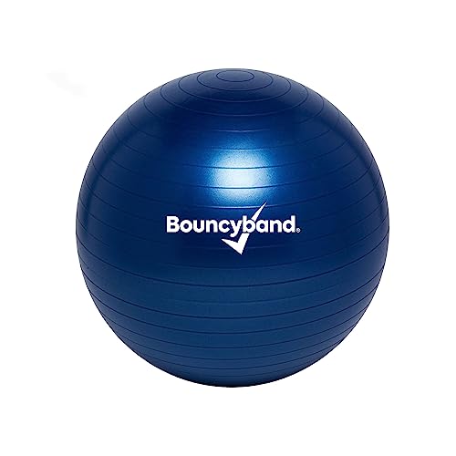Bouncyband Balance Ball – Create Flexible Seating to Improve Focus at School, Office, or Home with This No-Roll Weighted Ball - color: Dark Blue, size: Small (Pack of 1)