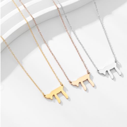 Stainless Steel Hebrew CHAI Necklace | Hand of Fatima Pendant | Turkish Evil Eye Charm | Israel Map Blessing Necklace | Protection Jewelry for Women men Include a Gift Box - color: Gold-Chai-1179