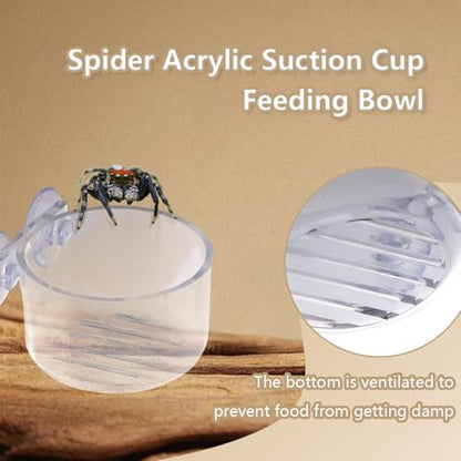 4 Pcs Jumping Spider Feeding Dish Water Bowl with Suction Cup for Jumping Spider Tarantula Millipede Small Reptiles