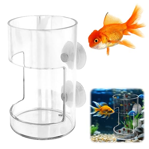 No Mess Aquarium Feeder, 2026 New Acrylic Clear Fish Tank Feeder with Suction Cup, Preventing Food Scattering (Round) - color: Round