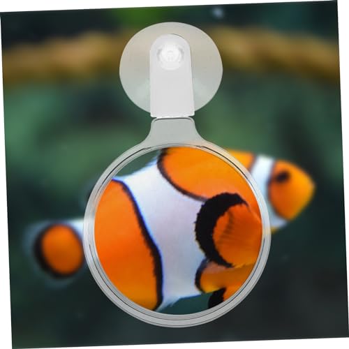 Happyyami 5pcs Betta Fish Glass Cup Acrylic Microscope for Aquarium Plants Ants and Small Animals Easy to Install and Observe Details Your Fish Tank - color: Whitex5pcs, size: 5.50X3.50X0.50CMx5pcs
