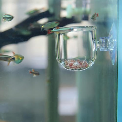 Aquarium Feeding Cup Fish Feeder Glass Acrylic Suction Cup Container for Freshwater Saltwater Tanks with Premium Suction Red Live Food Feeder (Glass Perforated (Suitable for nematodes)) - size: Glass perforated cup (suitable for nematodes)