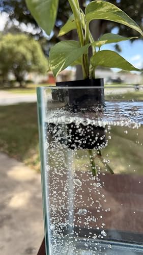 Aquarium Plant Holder for Standard Rimless Fish Tanks The Tube 3D Printed - Pothos Holder - Stemmed Plant Holder -Aquascaping & Aquarium Tool Holder