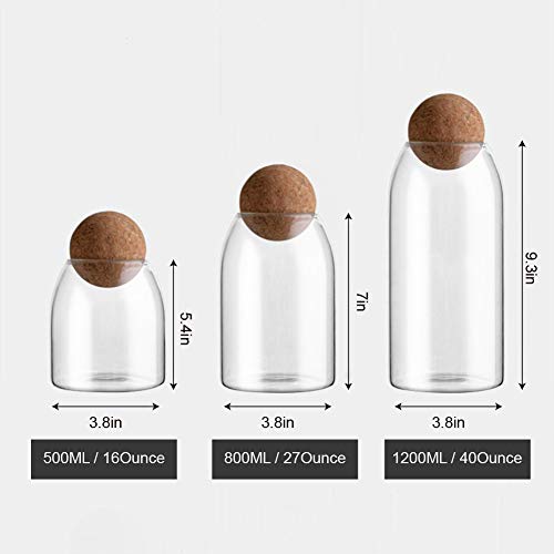 800ML/27Oz Clear Glass Storage Cute Canister Holder Ball Wood Cork Top, Modern Decorative Cylinder Container Jar with Round Lid for Coffee, Spice, Candy, Salt, Cookie Cool Terrarium Bottle - size: 800 mL