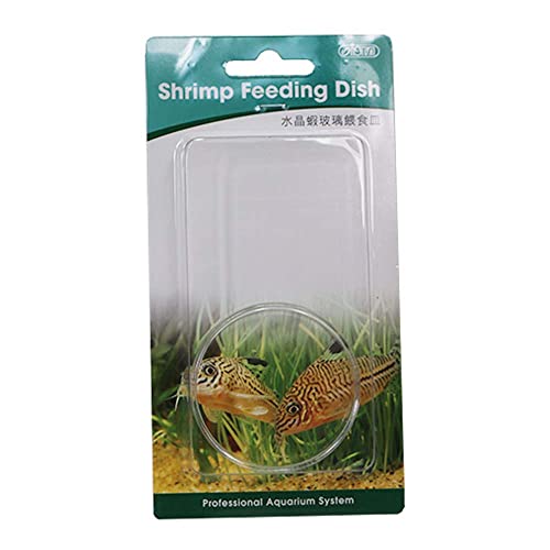 ISTA Clear Glass Dish Tray Bowl Shrimp Snail Fish Feeder Food Feeding Aquarium by Aquarium Supplies