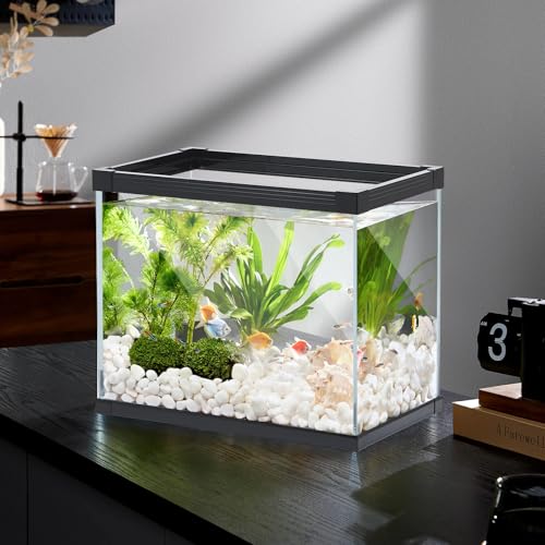 Ultra Clear Glass Aquarium Thickened Large Fish Tank -Suitable for High-end Fish Enthusiasts (5.5 Gallon, Tank) - size: 5.5 Gallon