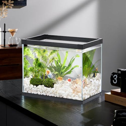 Ultra Clear Glass Aquarium Thickened Large Fish Tank -Suitable for High-end Fish Enthusiasts (5.5 Gallon, Tank) - size: 5.5 Gallon