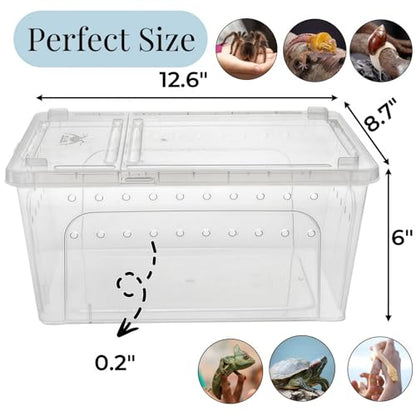 Tlence 2 Pack Critter Keeper, 12.6"x8.7"x6" Clear Plastic Enclosure Terrarium, Portable Transport Container with Feeding Bowl, Small Hatching Container with Ventilated Lid for Snake, Lizard, Gecko