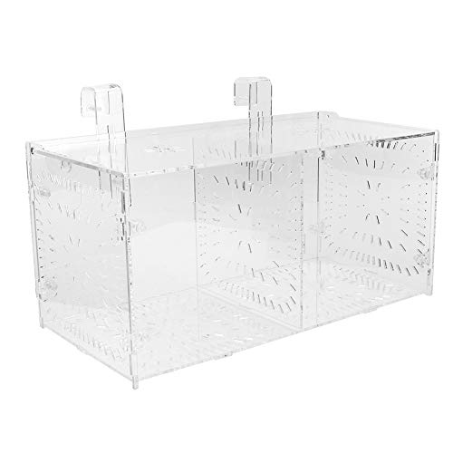 Fydun Fish Isolation Breeding, Box Acrylic Incubator Ing Seedlings Incubation Reproduction Aquarium Ery and Parenting for Aquarium (30CM*15CM*15CM) - size: 30CM*15CM*15CM, style: 30CM*15CM*15CM