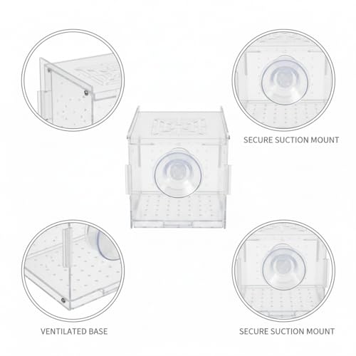 Aquarium Isolation Box, Clear Acrylic Internal Tank Divider for Fry and Small Fish, 3.1 x 3.1 x 3.1 Inch (1 PC)