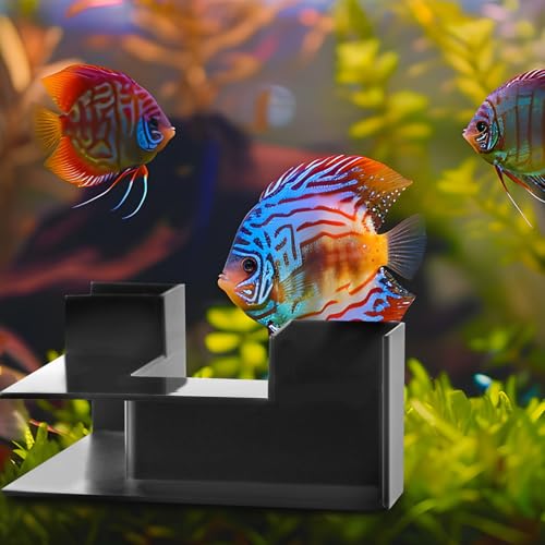 12.5x12.5x5.5cm Shrimp Cave Aquarium Tunnel Corner Decorations, 2 Openings Hideaway Decor Fish Tank Ornament Accessories for Shrimp Fish