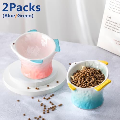 Tioncy 2 Pcs Raised Tilted Ceramic Cat Food Bowl Fish Shape Cute Elevated Slanted Shallow Angled Cat Dish Non Slip Feeder Bowl for Anti-Vomiting and Whisker Fatigue(Green, Pink) - color: Green, Pink
