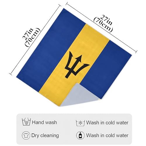 Bandana Square Head Scarf for Women Satin Hair Wrap Fashion Headband 27" - color: Barbados Flag