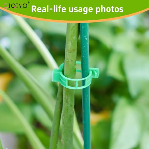 Plant Support Clips,Plastic Clips for Securing Plants,Tomato Vine Clips,Plant Fixing Clips,Garden Clips for Climbing Plants,Grape and Vine Vegetables (100, Light Green) - color: Light Green