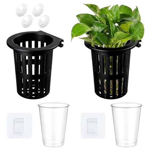 Novabright 2 Pack New Upgraded Large Aquarium Plant Holder with Hydroponic Cup 3.37 Inch Sick Hook and Suction Cup for Fish Tank Aquaponic Plant Cultivation and Aquascape Accessories Decoration(Black) - color: Black
