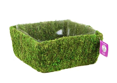 SuperMoss (55170 Santee, Fresh Green, Fits 2 Blocks for Floral Foam