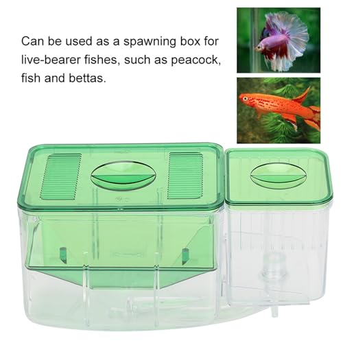 Aquarium Fish Breeding Box, Double - Layer Isolation Incubator for Small Fish Shrimp, Newborn Fry Spawning Box with Insert Tray, for Injured or Aggressive Fish in