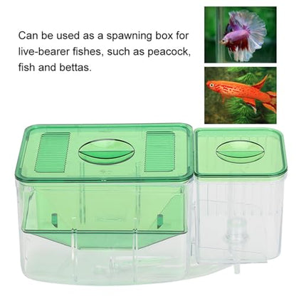 Aquarium Fish Breeding Box, Double - Layer Isolation Incubator for Small Fish Shrimp, Newborn Fry Spawning Box with Insert Tray, for Injured or Aggressive Fish in