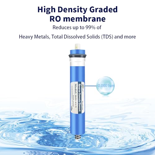 Huining Reverse Osmosis Membrane RO Membrane Housing Kit with 1/4 Quick Connector,Check valve,Water Pipe,Wrench Whole Set for Residential Household Hospital Water Filtration System (75GPD) - style: 75GPD kit