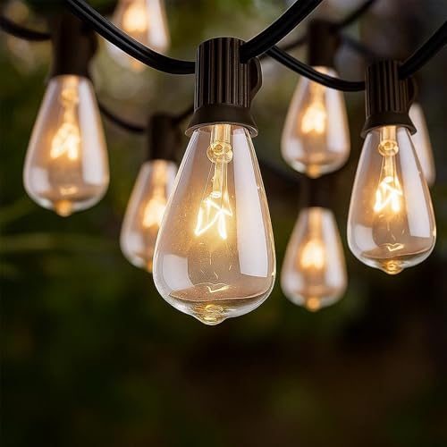 20Ft Outdoor String Lights,Edison Bulb String Lights with 22 Clear Edison Bulbs (2 Spare) UL Listed,Outdoor Patio Lights Waterproof for Outside Patio Backyard Party Deck Yard - color: 20Ft-Black