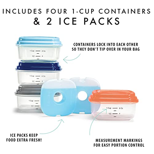 Fit & Fresh Small Plastic Containers With Lids 8 oz, Small Snack Containers With Lids For Adults and Kids, Reusable Leakproof Dressing and Condiment Containers With Two Attachable Ice Packs - size: 1 Cup
