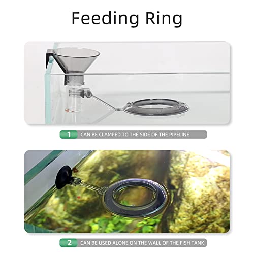 Shrimp Feeding Dish Set, Shrimp Feeder Tube Kit for Fish Tank(15" | Clear Durable, Simple Installation, Keep Water Clean, Shrimp Feeding Tube with Feeding Ring & Cleaning Brush