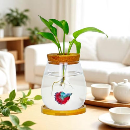 0.5 Gallon Fish Bowl Betta Fish Tank Glass Aquarium with Wood Lid & Bamboo Stand – Hydroponic Plants Planter, Glass Vase, Gift