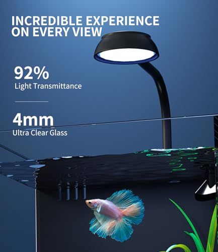 2 Gallon Glass Fish Tank Kit with Hidden Filtration Light Lid Rimless | Black Background, Dry-wet Separation Filtration, Self-cleaning, Ultra-quiet, Adjustable Water Flow, for Betta Shrimp Guppy