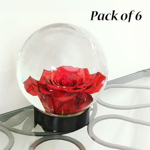 Achla Designs Flower Aquariums Glass Vase Set – Pack of 6 Glass Orb Flower Display Vases with Floral Frog Bases, Water Filled Flower Magnifier Centerpieces for Home or Events