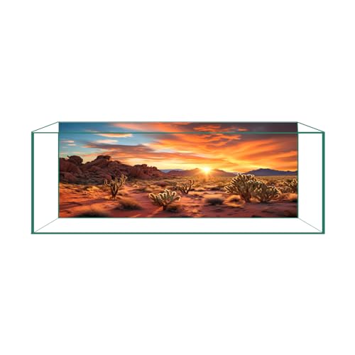 Reptile Background Film, Static Cling, Glue-Free, Desert, 11.8"H×23.6"W | No Glue Static Cling • Spray Water to Apply • Realistic Desert Scene • Natural Terrarium Look • Reusable • Easy Trim - size: 11.8 X 23.6 Inches