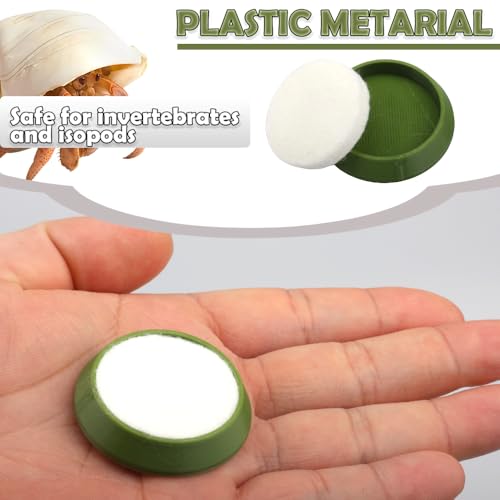 6 Pcs Cricket Water Bowl Plastic Reusable Feeding Dish Mini Bowl with 6 Pcs Sponge for Hermit Crab Cricket Scorpion Ant Isopod Invertebrate (Green)