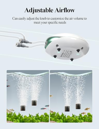 boxtech Aquarium Air Pump,Oxygen Fish Air Pump with Adjustable Air Valve, Fish Tank Air Pump with Accessories Tube, Bubble Stone and Check Valve, Fish Tank Aerator Kit - style: 2 Outlets,10-60 Gallon