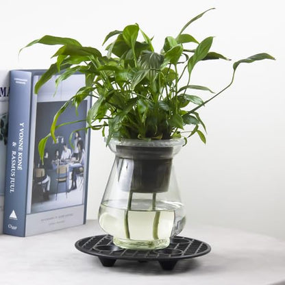 8 PCS 15.8 Inch Plant Level Pot Elevator, Heavy Duty Plant Stands | Plant Saucer Riser for Indoor Plant Flower Pot Grow Drainage, Plant Pot Saucer for Prevent Rot and Damage on Patio & Deck - size: 15.8 inch