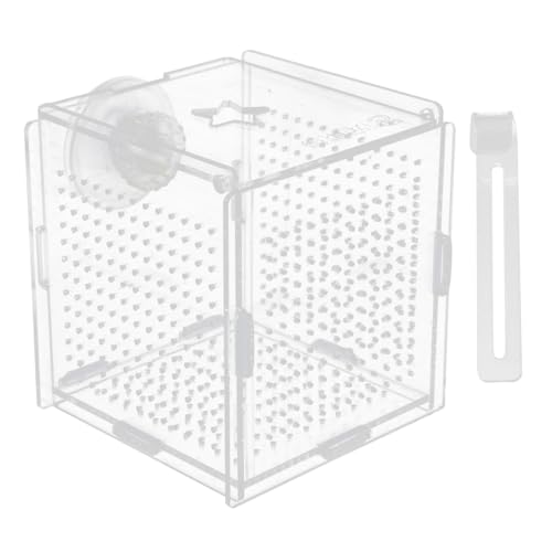 GANAZONO 1set Fish Isolation Box Cups and Hook Acrylic Fish Tank Hatching Incubator for Betta and Shrimp Prevents Design for Easy Feeding and Safe Breeding